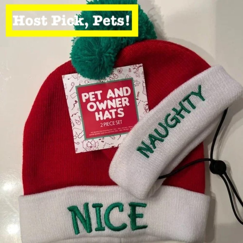 Pet and‎ Owner Hat!   (Christmas Themed - New - Pets)